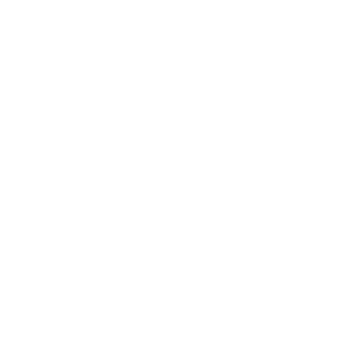 DEVBLOOM-logo-madaine